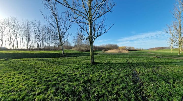 Foto 13 van Hondsdraf 81