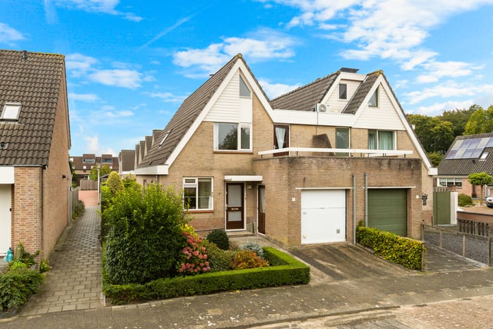 Korenbloem 1-b main image