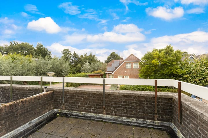 Foto 24 van Korenbloem 1-B