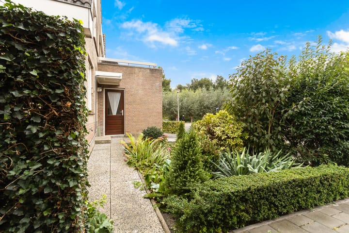 Foto 33 van Korenbloem 1-B