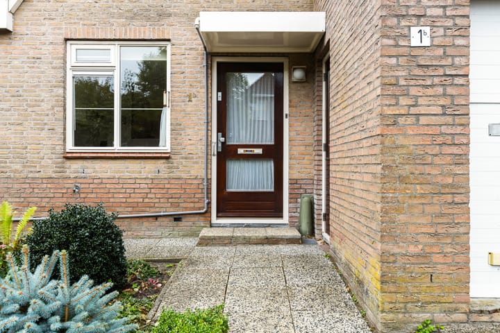 Foto 34 van Korenbloem 1-B