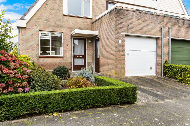 Foto 35 van Korenbloem 1-B