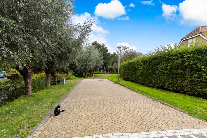 Foto 41 van Korenbloem 1-B