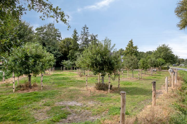 Photo 41 of Hoge Valkseweg 99