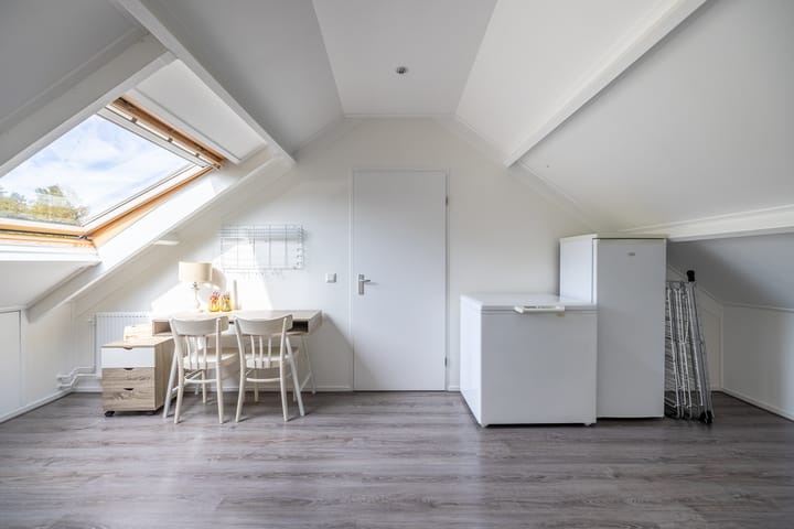 Foto 41 van van Leeuwenhoeklaan 53