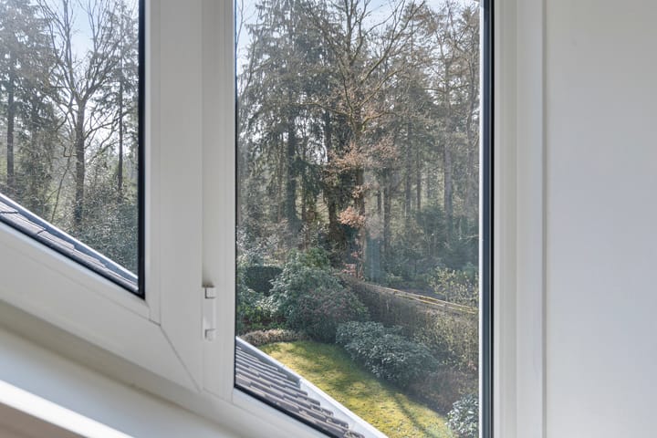 Foto 33 van Hagedoorn 44