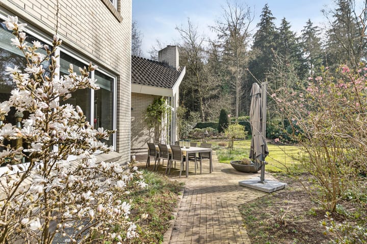 Foto 57 van Hagedoorn 44