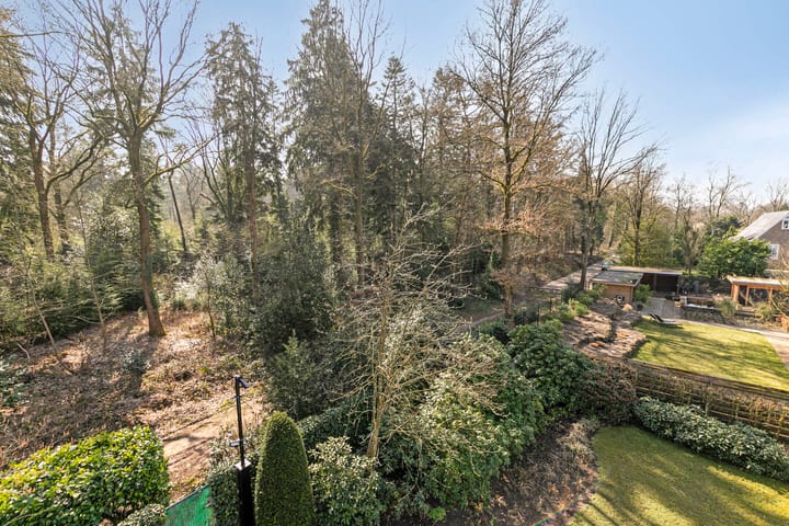 Foto 66 van Hagedoorn 44