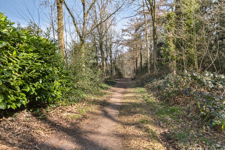 Foto 71 van Hagedoorn 44