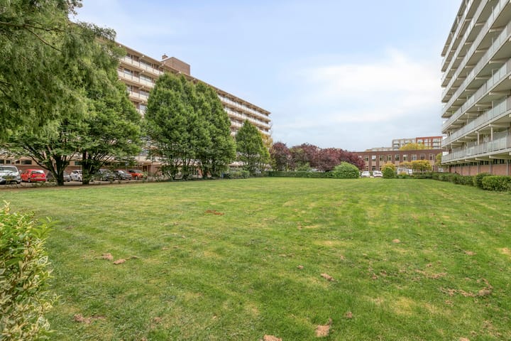 Photo 26 of Alkenoord 284