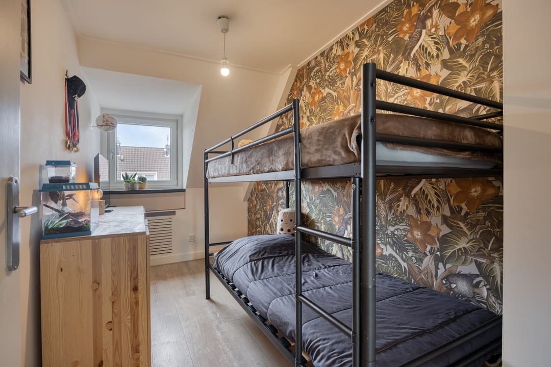 Foto 23 van Lijster 19