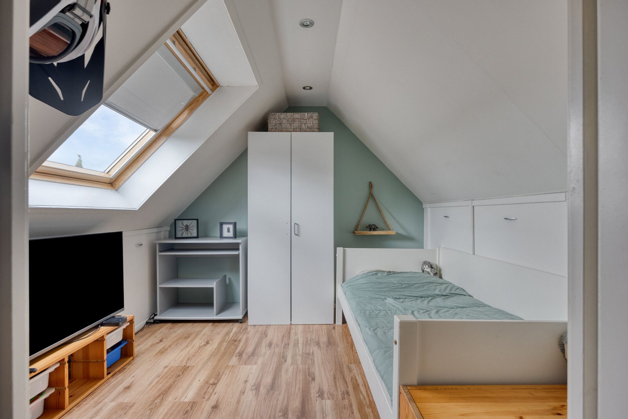 Foto 27 van Lijster 19