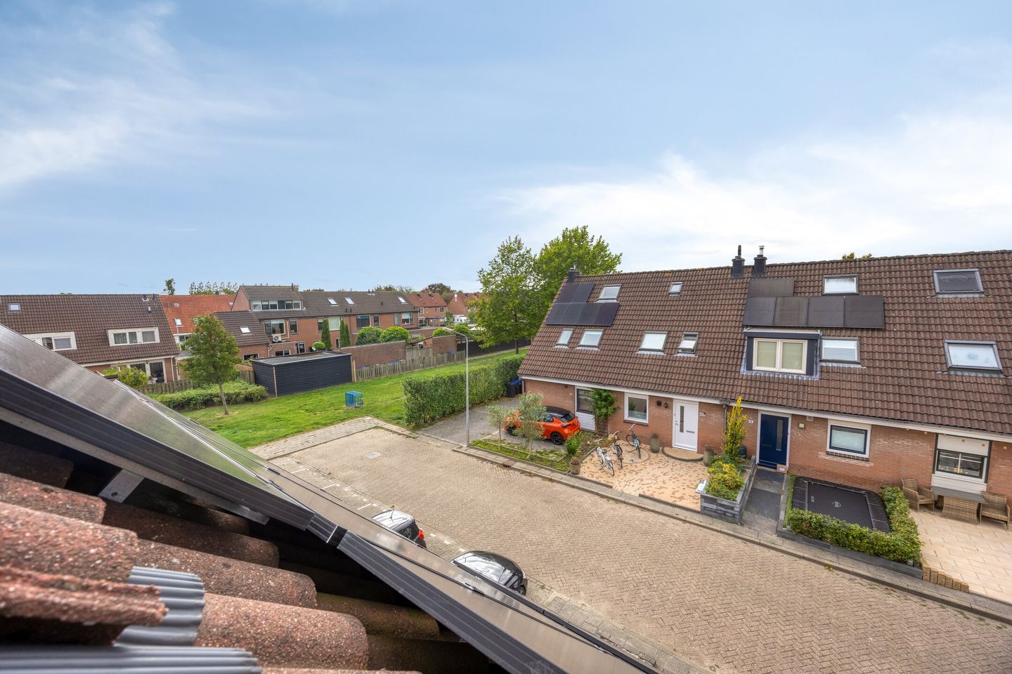 Foto 29 van Lijster 19