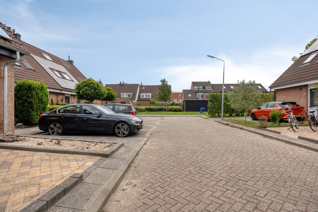 Foto 31 van Lijster 19