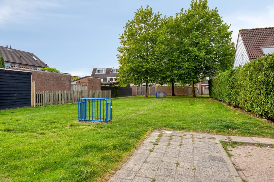 Foto 32 van Lijster 19