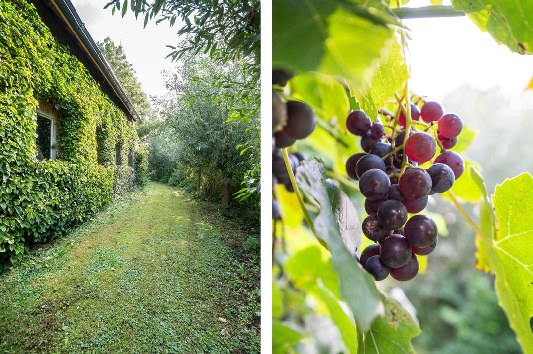 Photo 83 of Lingedijk 8