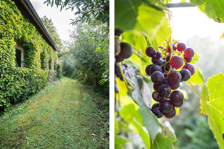 Foto 83 van Lingedijk 8