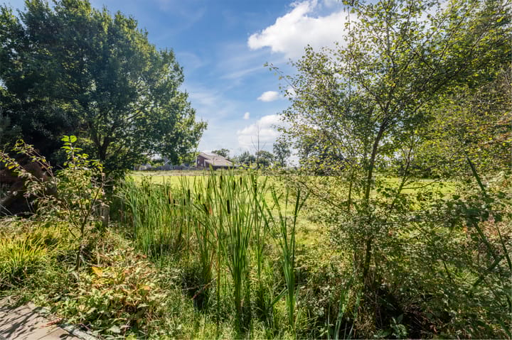 Foto 39 van Welfingstrjitte 8