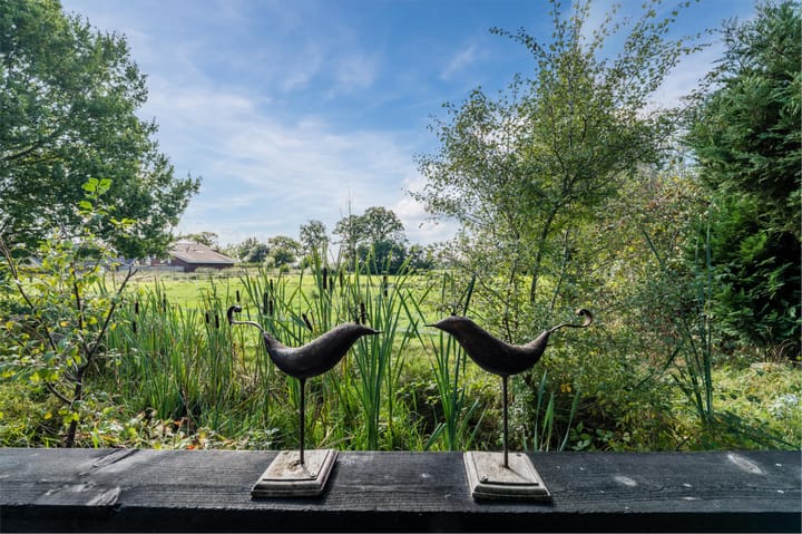 Foto 40 van Welfingstrjitte 8