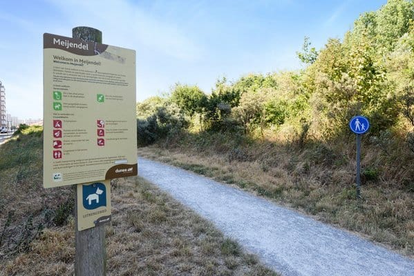 Foto 44 van Groningsestraat 197