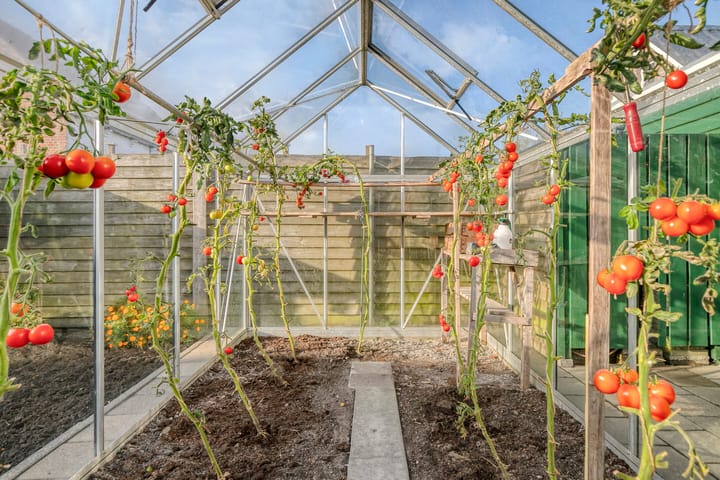 Foto 49 van Hoenderweg 102