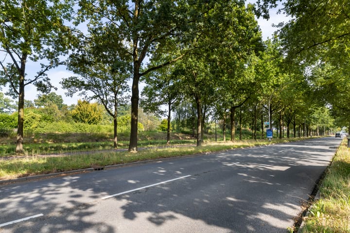 Foto 25 van Wierdensestraat 180