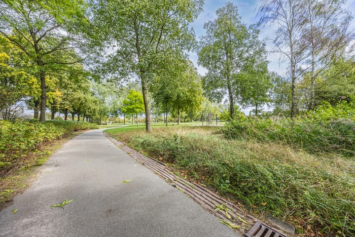 Foto 49 van Prins Hendriklaan 26