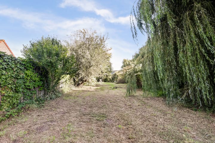 Photo 26 of Drie Haasjes 21