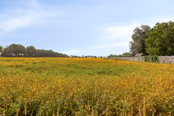 Photo 54 of Voordijk 45