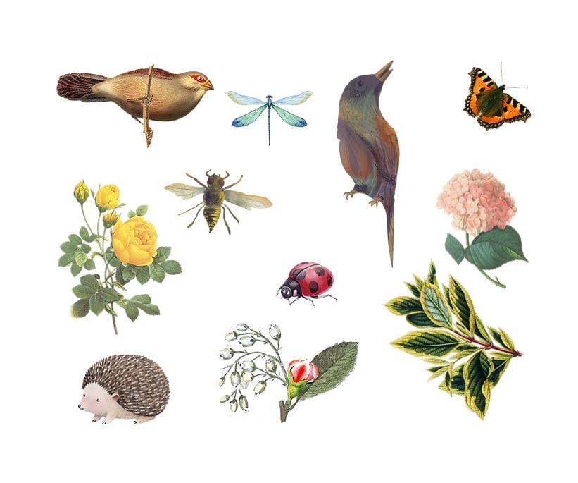 Photo 18 of Type A Stadswoning (Bouwnr. 1)