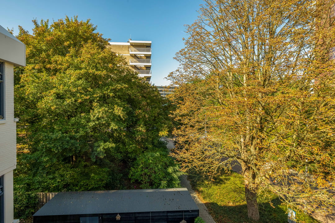 Foto 53 van Björnsonweg 65