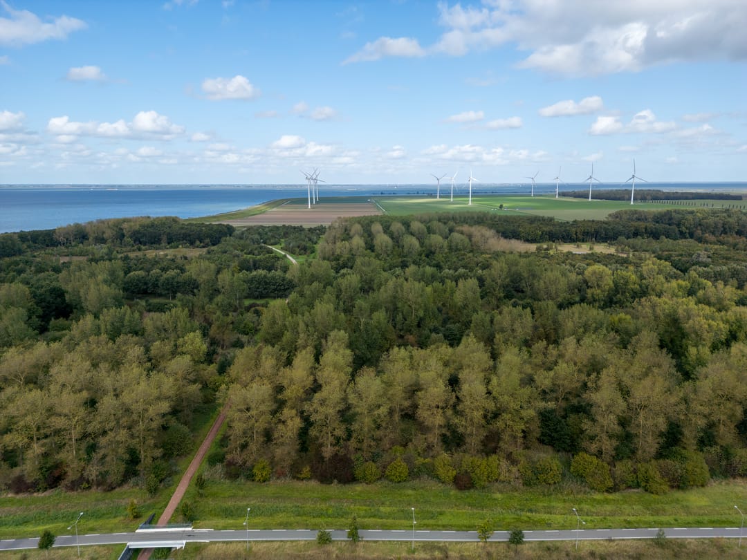 Foto 56 van Damarapad 11