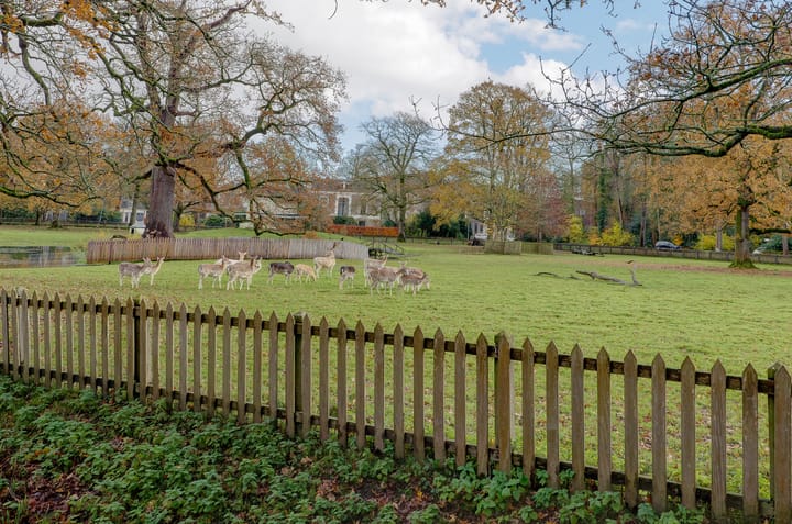 Foto 3 van Bellevue 6