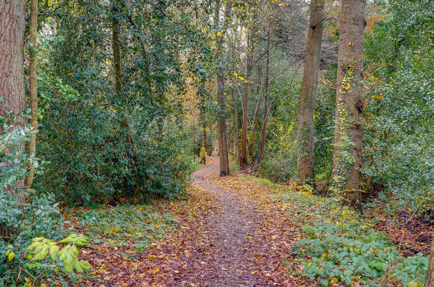 Foto 34 van Bellevue 6