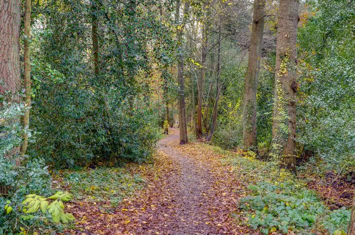 Foto 34 van Bellevue 6