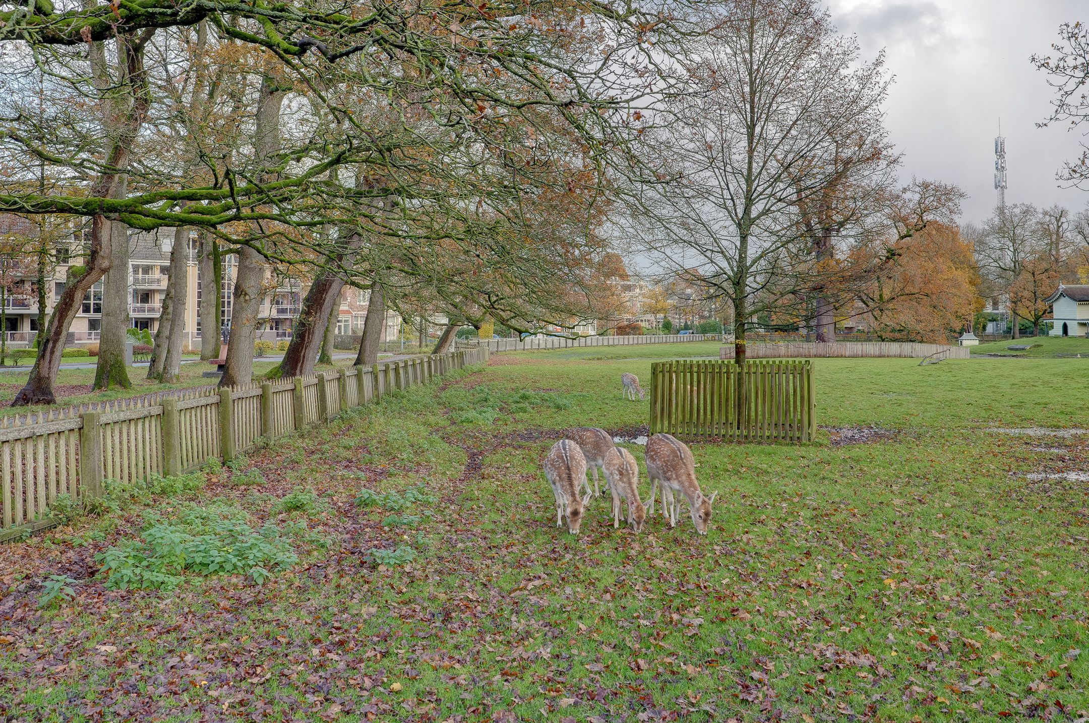 Foto 36 van Bellevue 6