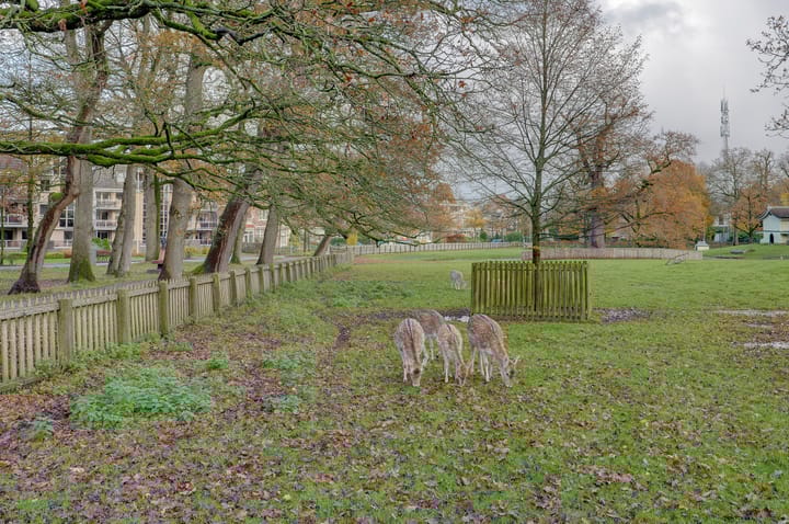 Foto 36 van Bellevue 6