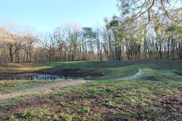 Foto 10 van Wilgenpad 12