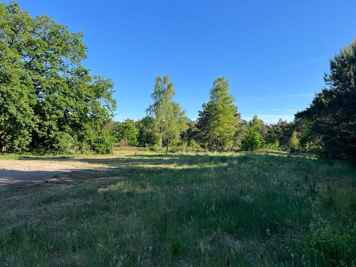 Foto 4 van Maximiliaanlaan 12