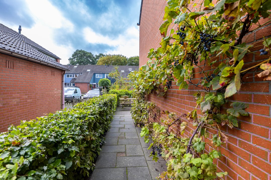 Foto 37 van Orchideestraat 158