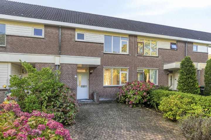 Foto 4 van Botter 31 7