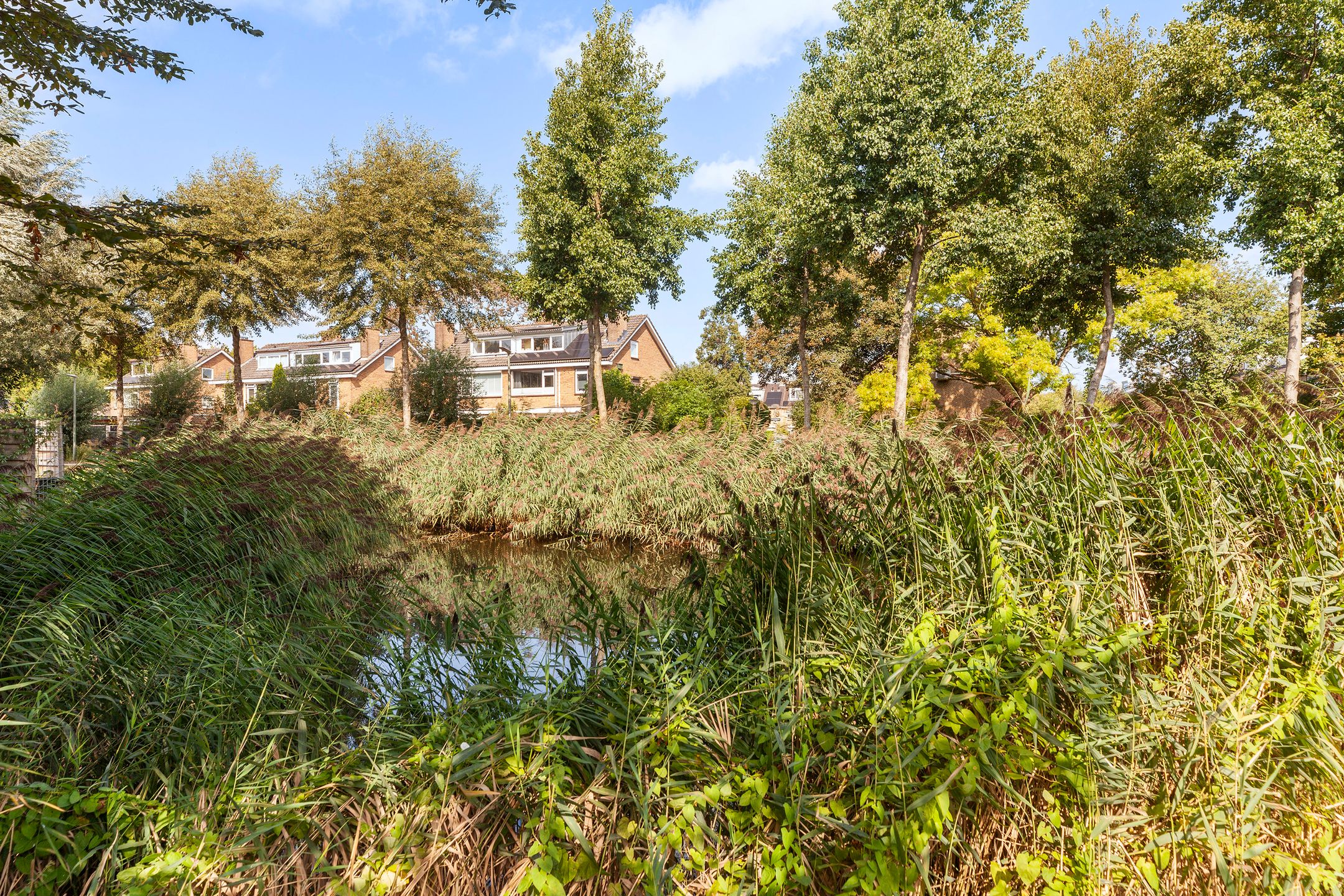 Foto 27 van Cannenburg 171