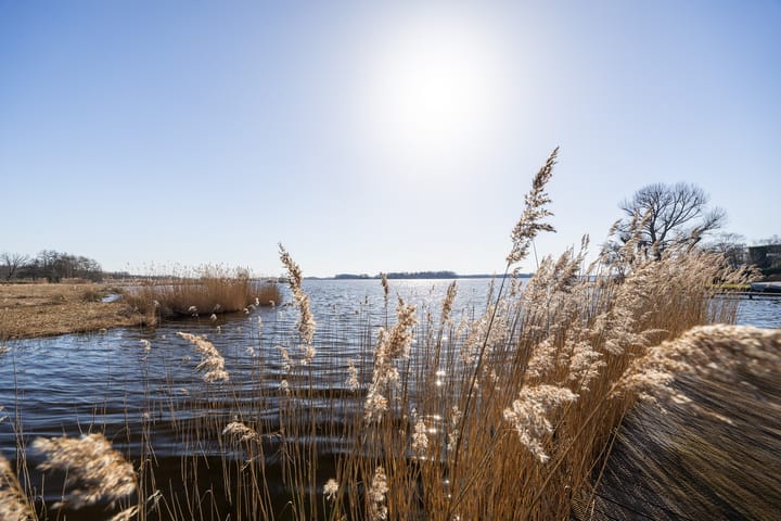 Foto 24 van Simon van Capelweg 12