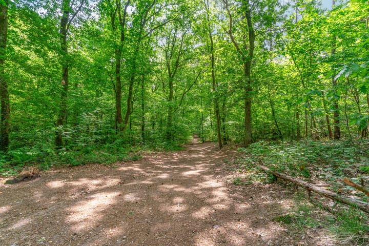 Foto 42 van Biezenstraat 1