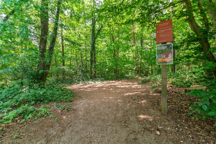 Foto 43 van Biezenstraat 1