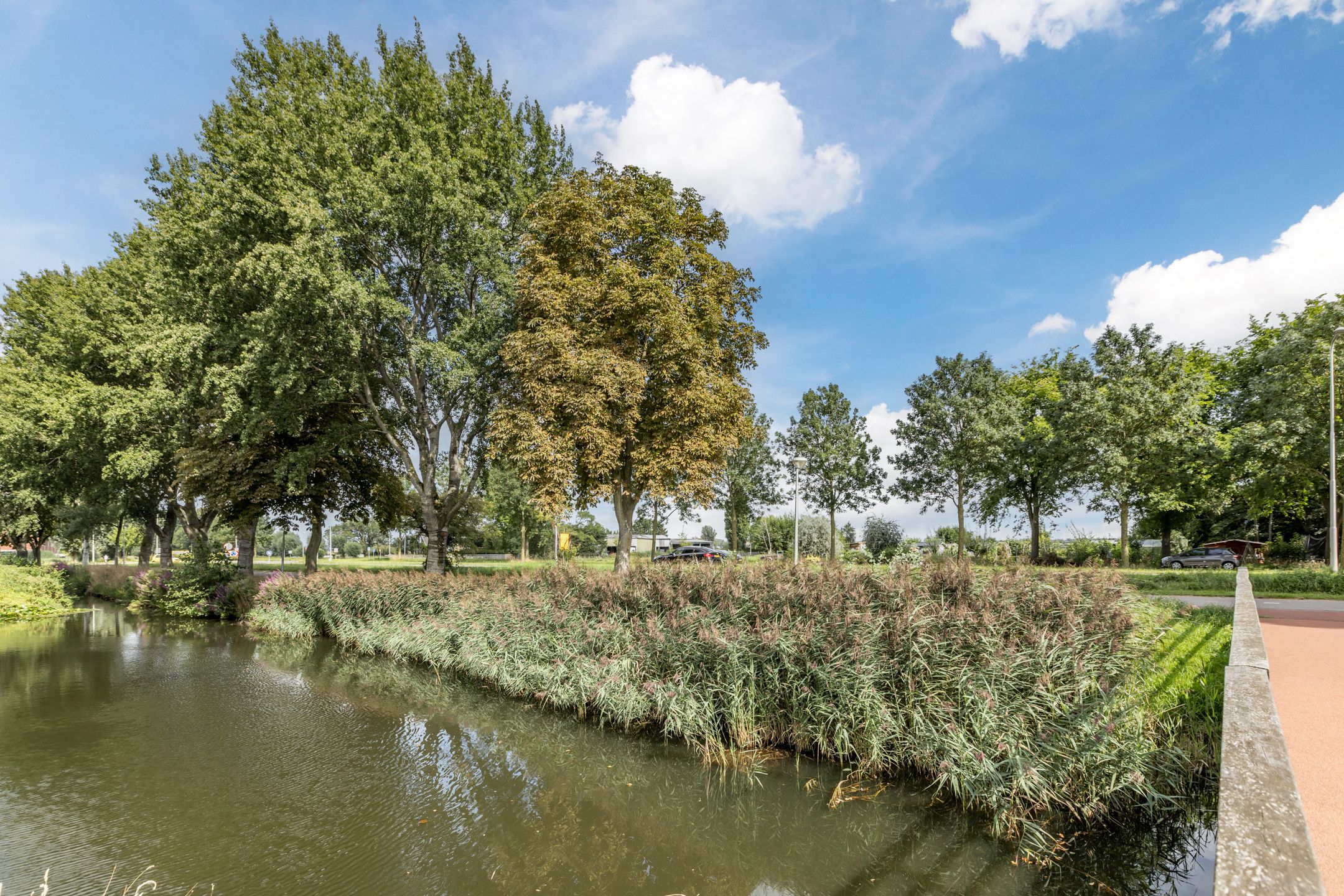 Foto 51 van Koninginneweg 175