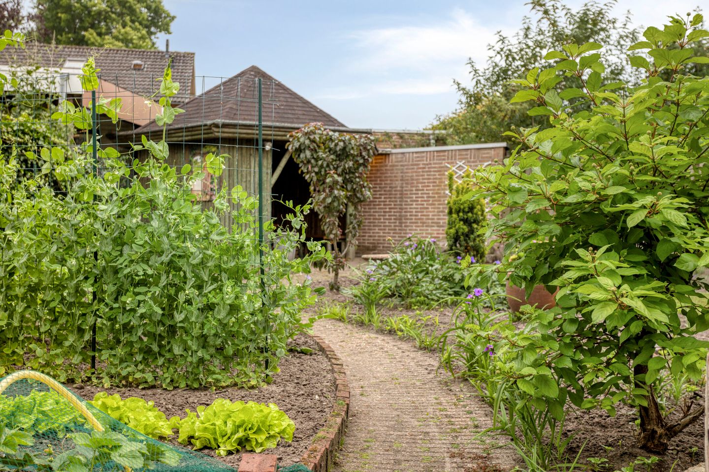 Photo 50 of Pastoor Santfoortstraat 7