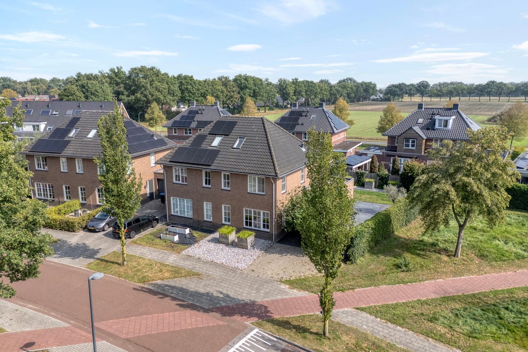 Foto 2 van Lisdodde 26