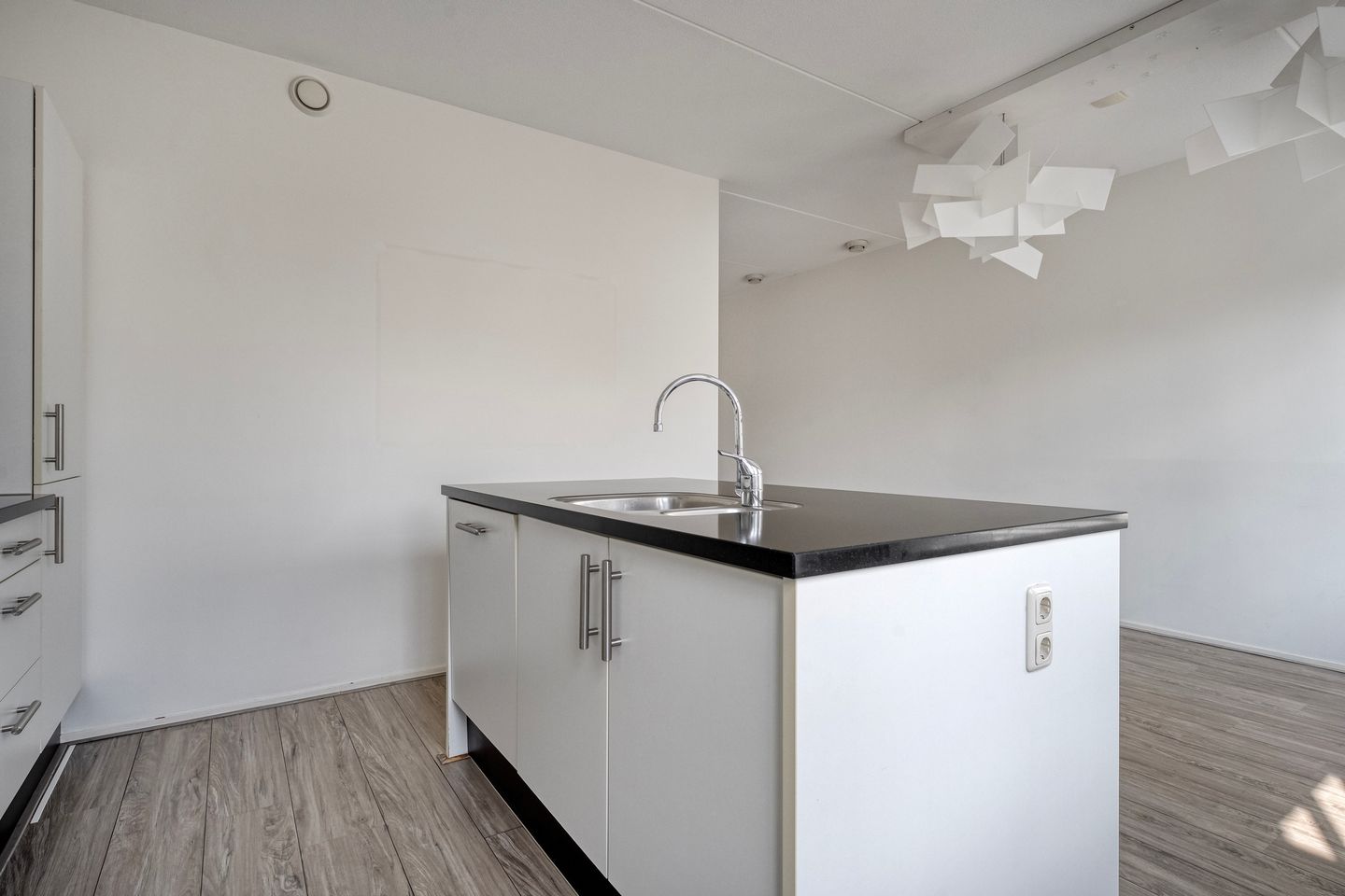 Foto 14 van Lisdodde 26