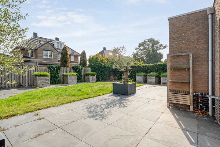 Foto 30 van Lisdodde 26